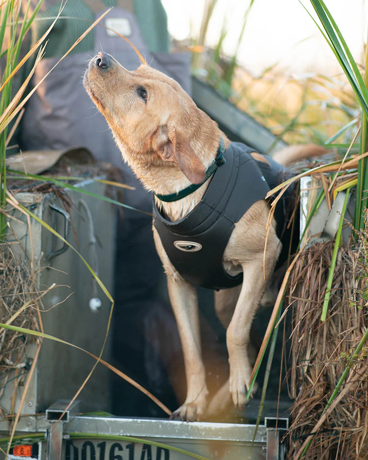 AVERY Boater's Dog Parka MAX 7