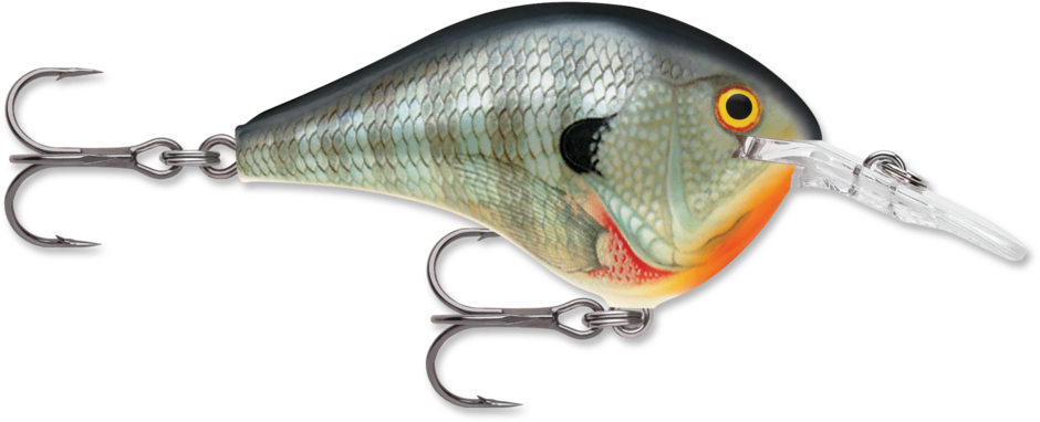 Rapala DT Dives To Crankbait