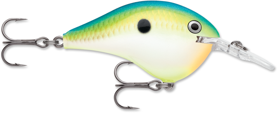 Rapala DT Dives To Crankbait
