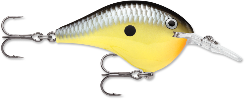 Rapala DT Dives To Crankbait