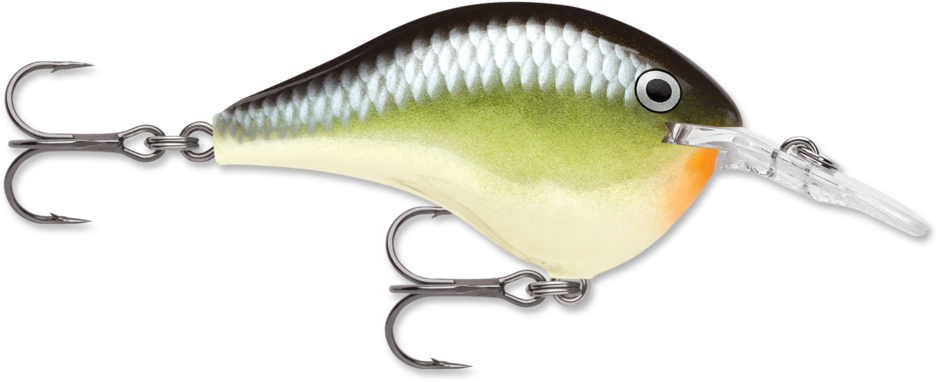 Rapala DT Dives To Crankbait