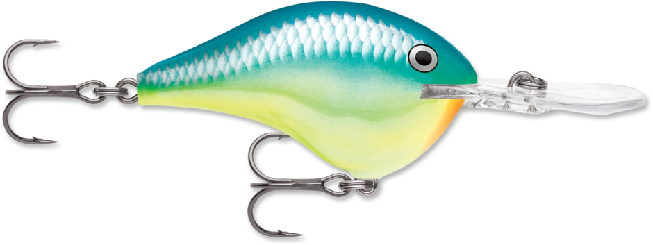 Rapala DT Dives To Crankbait