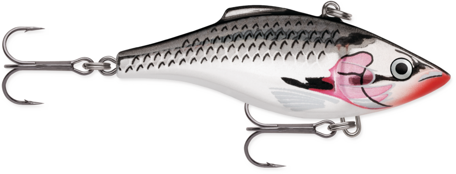 Rapala Rattlin' Rapala Sinking Lipless Crankbait