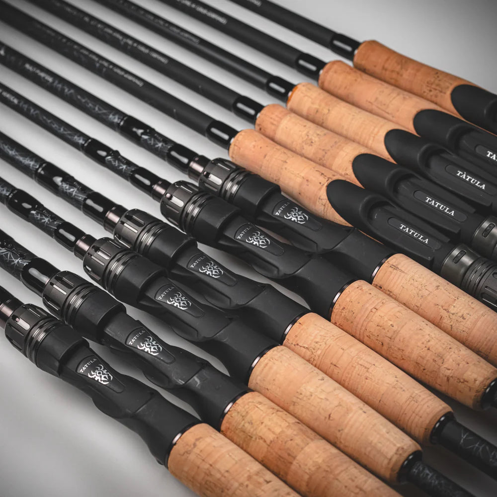 Daiwa Tatula Bass casting rod
