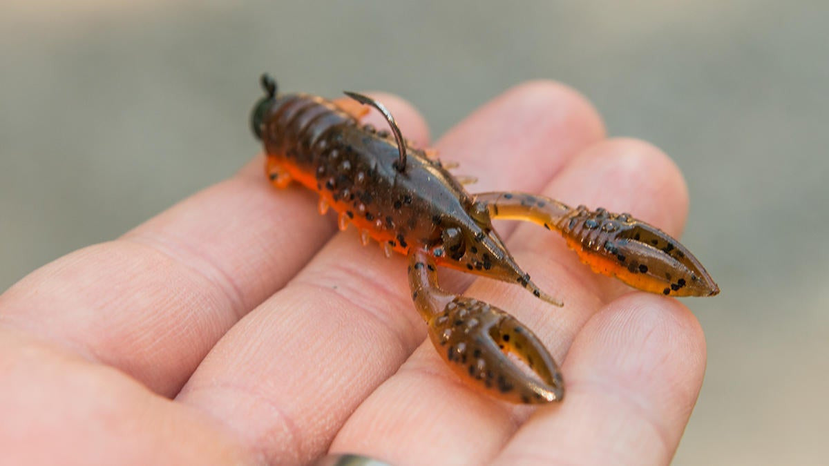 Z-MAN PRO CRAWZ