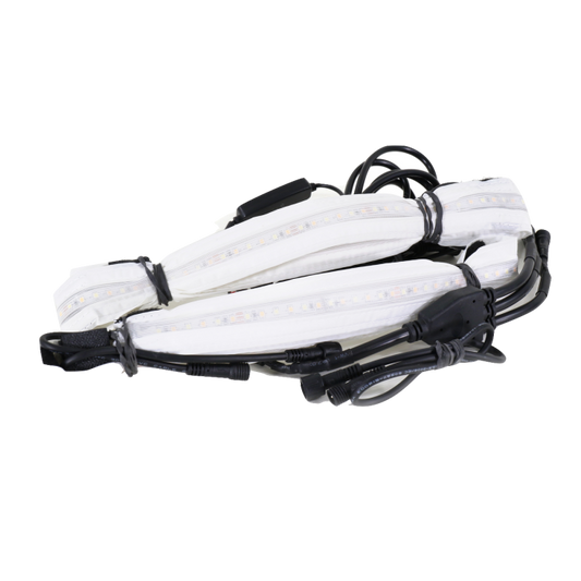 Clam  Aurora LED Light Kit - Starter Kit 17474
