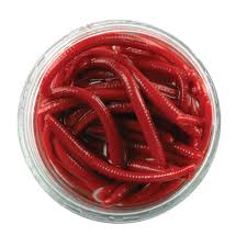 BERKLEY GULP ALIVE Angle Worm