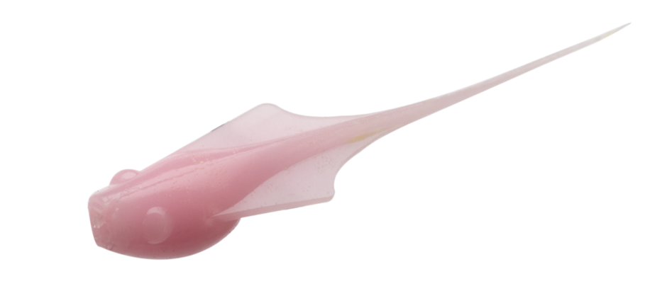 13 Fishing Madpole Soft Plastic Baits