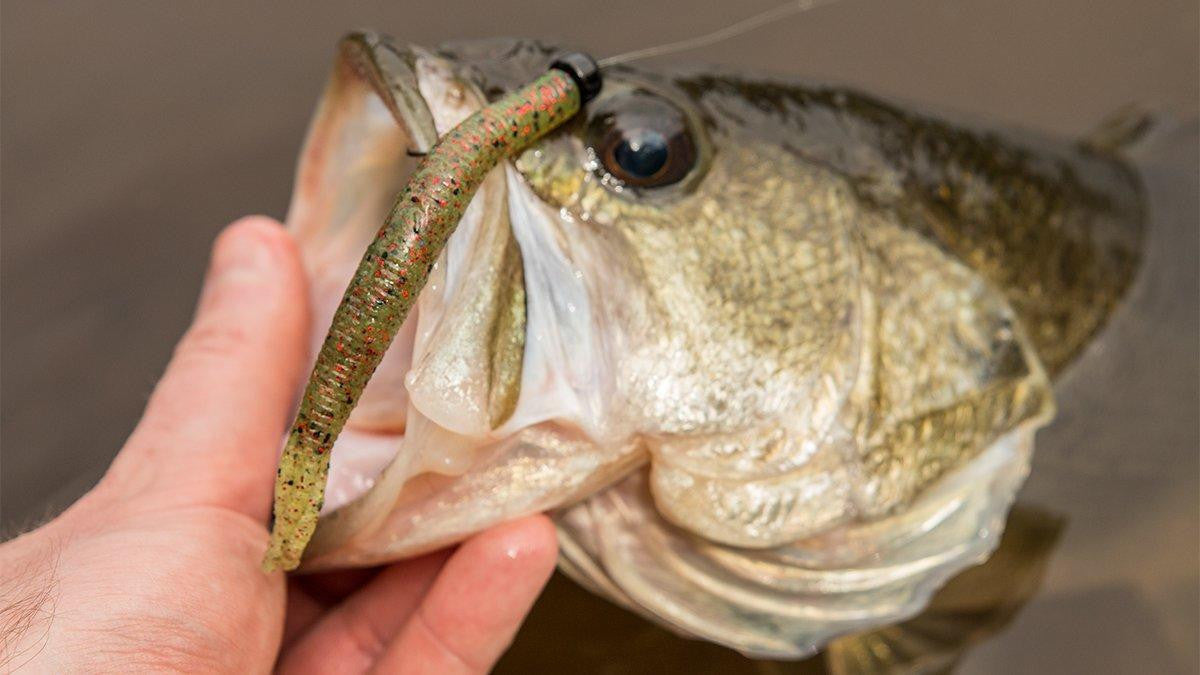 Z-Man Hula StickZ Bait