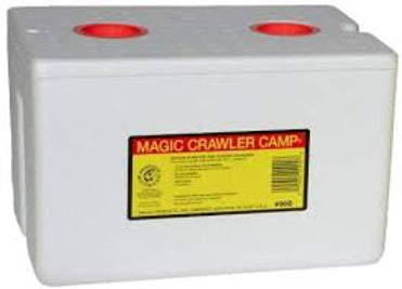 magic crawler camp