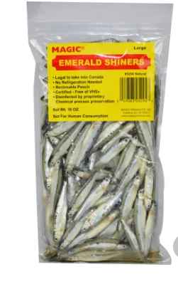 magic emerald  shiner large 16oz