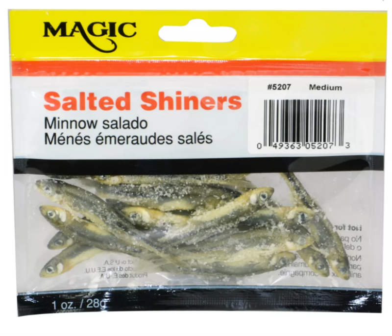 magic salted shiner