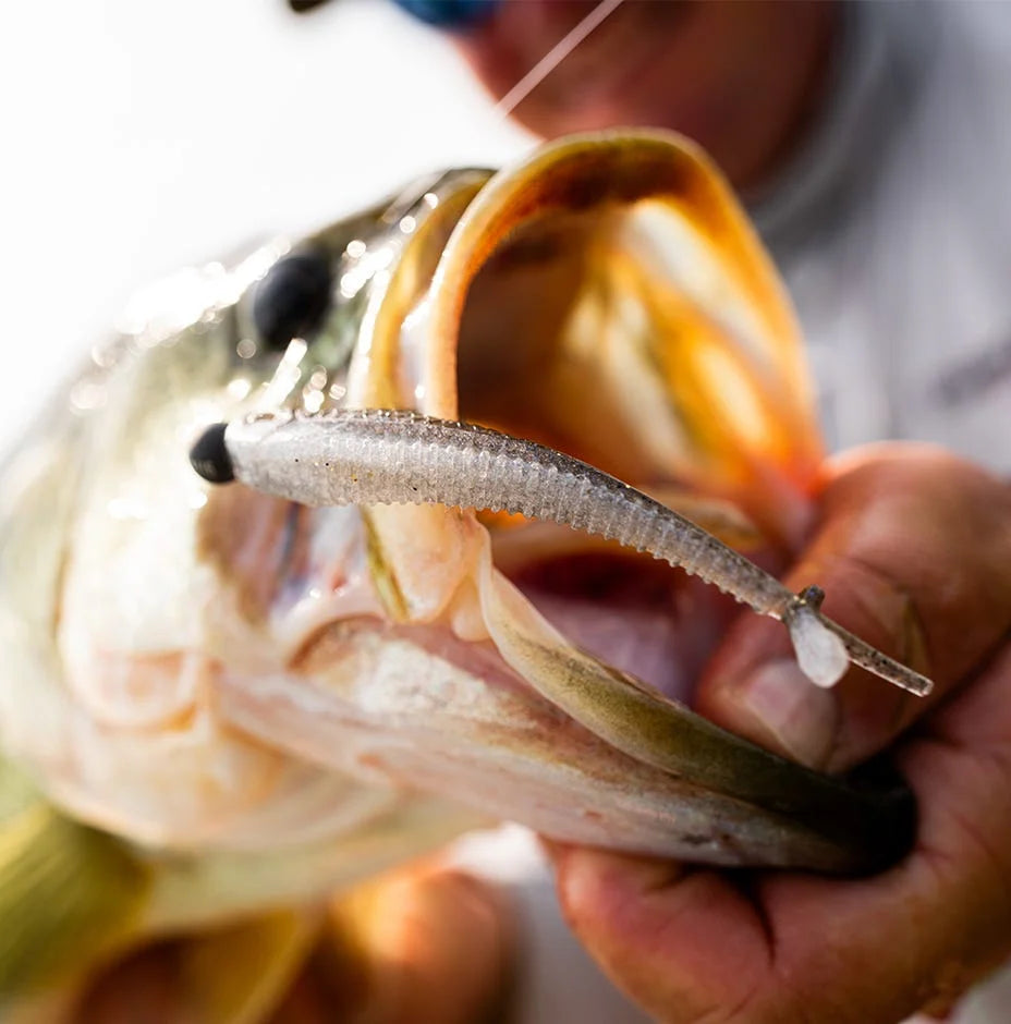 RAPALA CRUSH CITY Mooch Minnow 3.5 inch