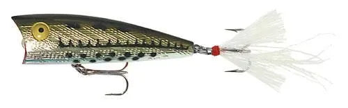 Rebel Pop-R top water bait