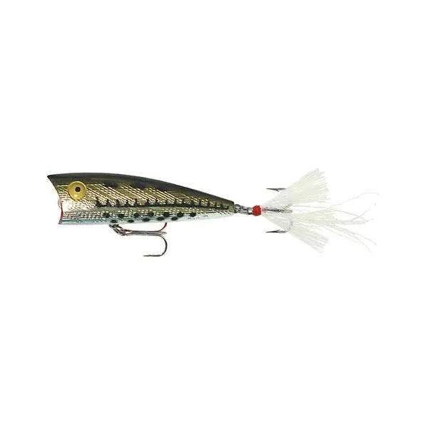 Rebel Magnum pop r  top water bait