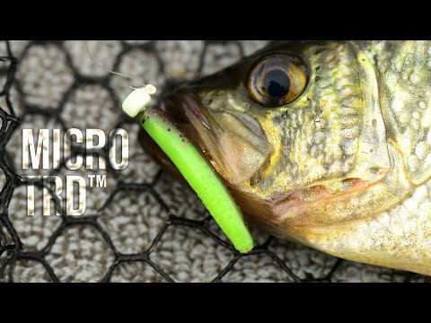 Z-Man Micro TRD Micro Finesse Bait