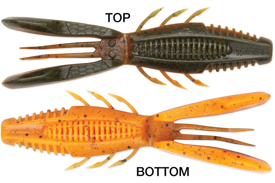RAPALA CRUSH CITY BRONCO BUG