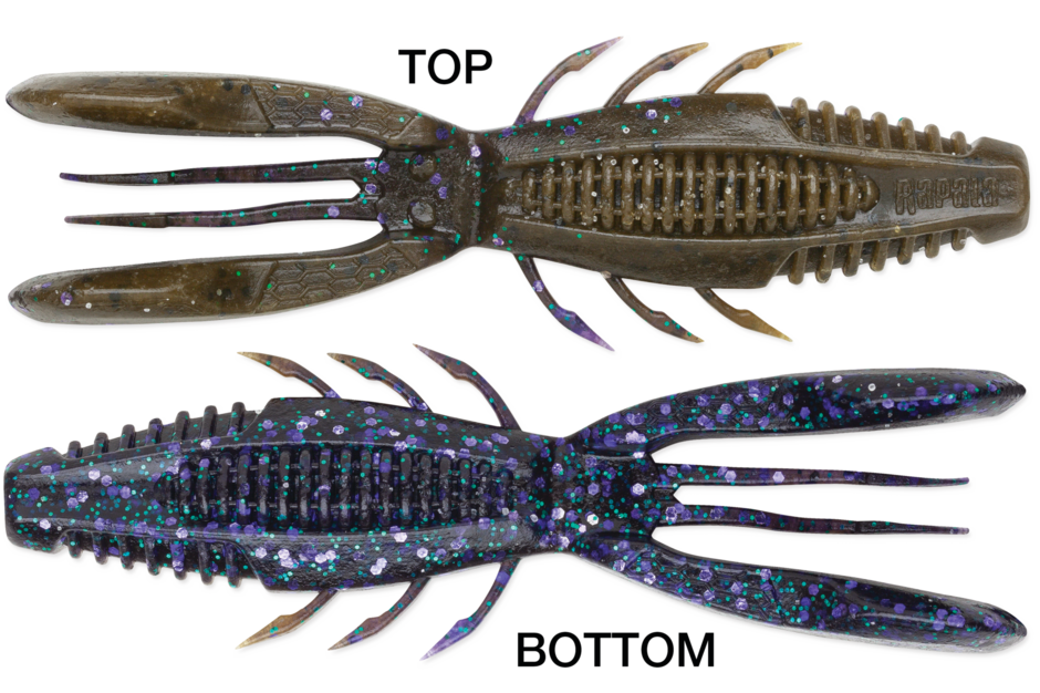 RAPALA CRUSH CITY BRONCO BUG