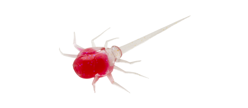 13 Fishing Coconut Crab Soft Plastic Baits