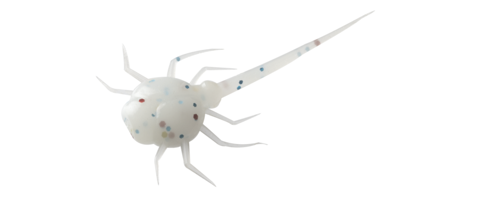 13 Fishing Coconut Crab Soft Plastic Baits