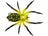 Lunker Hunt Phantom Spider