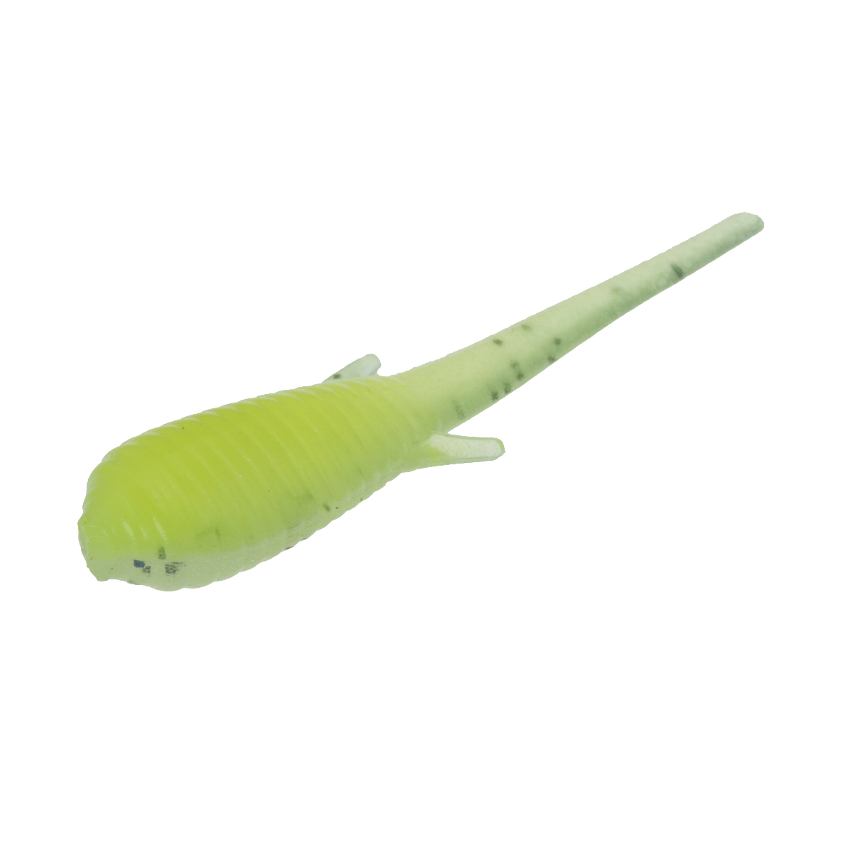 Clam Niku Soldier Fly