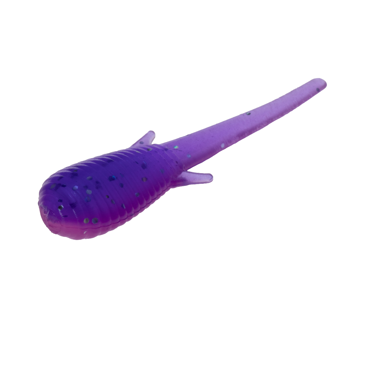 Clam Niku Soldier Fly