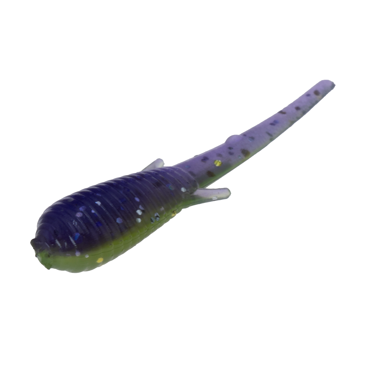 Clam Niku Soldier Fly