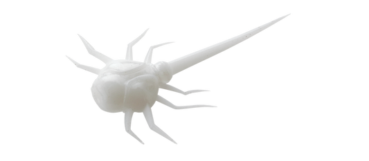 13 Fishing Coconut Crab Soft Plastic Baits